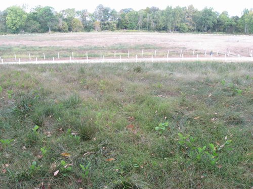 Property photo 16 - 80 Acres Offered in 4 Tracts - Horse Farm